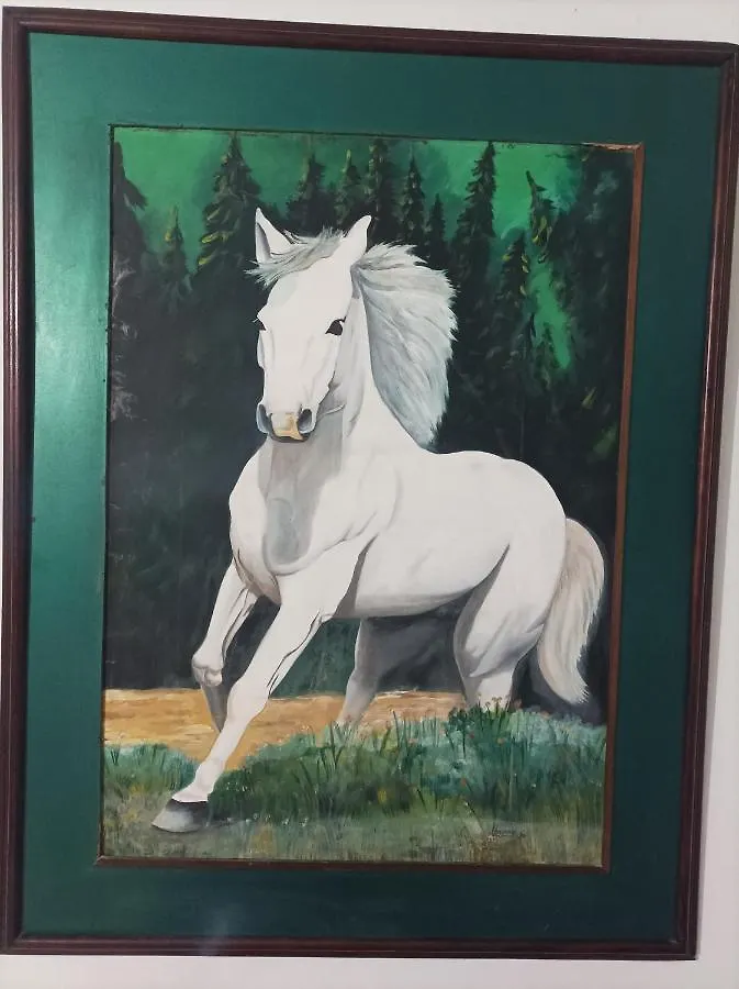 Cartagena Hostel Caballo Blanco بيت ضيافة